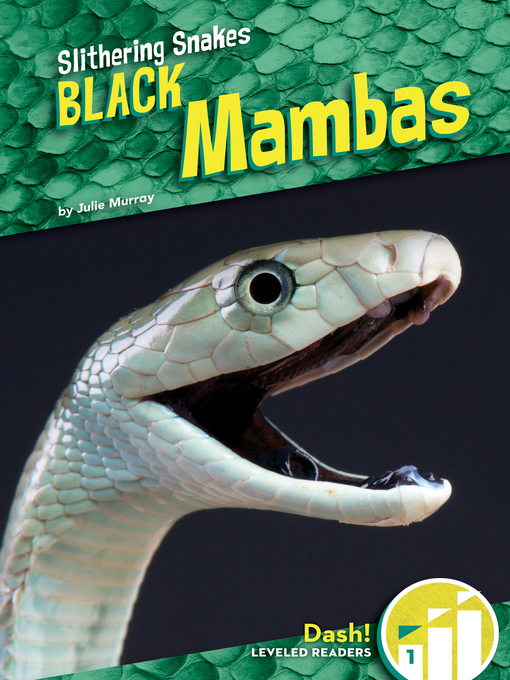 Julie Murray创作的Black Mambas作品的详细信息 - 可供借阅
